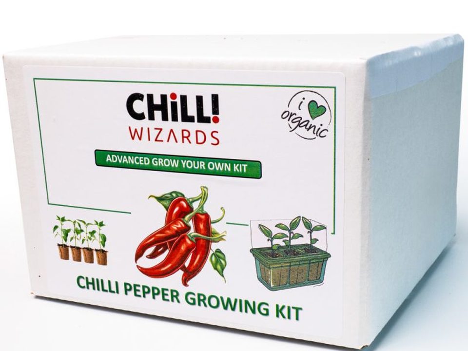 Kit para cultivar tus propios chiles en la cocina
